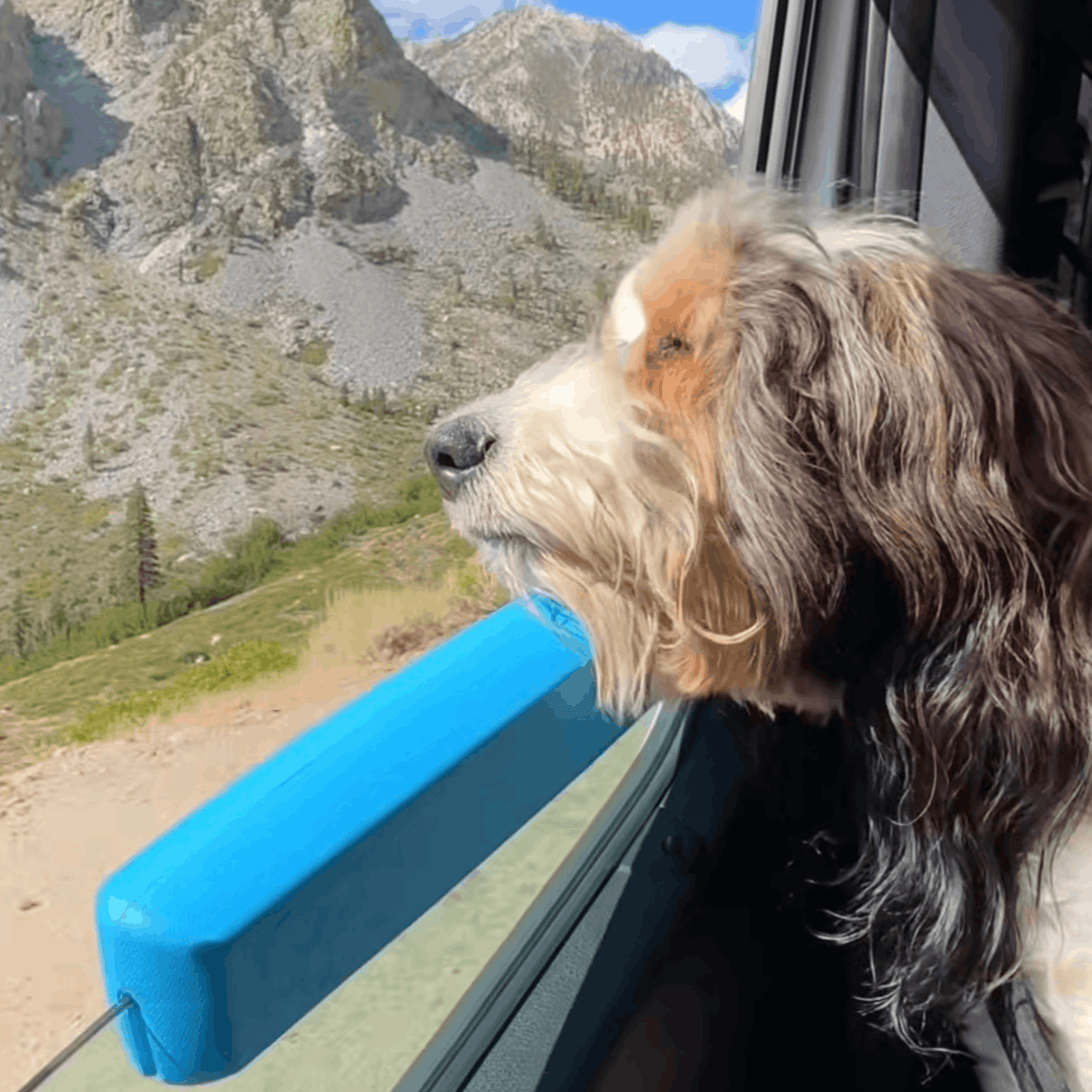 The PawCruise Window Pillow For Dogs