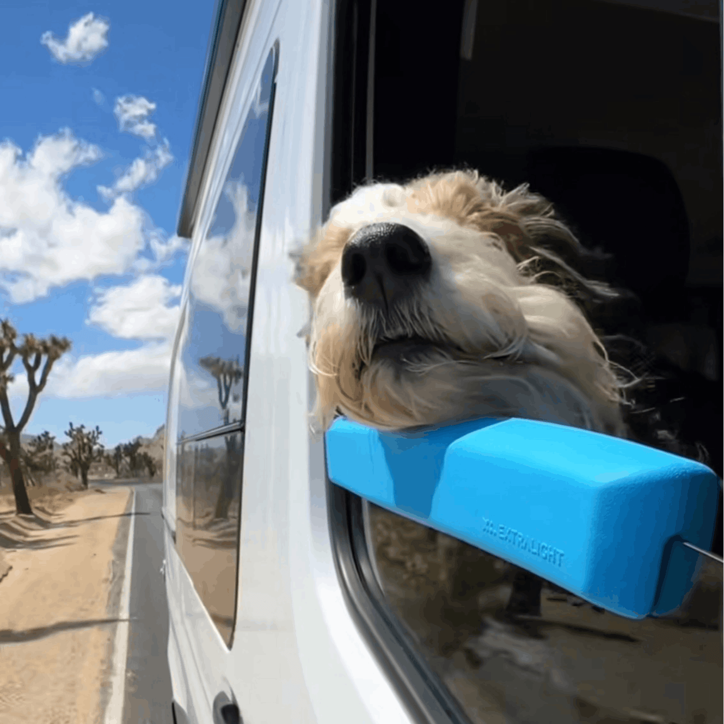 The PawCruise Window Pillow For Dogs