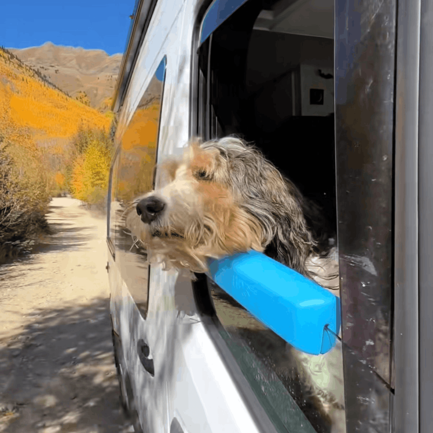 The PawCruise Window Pillow For Dogs